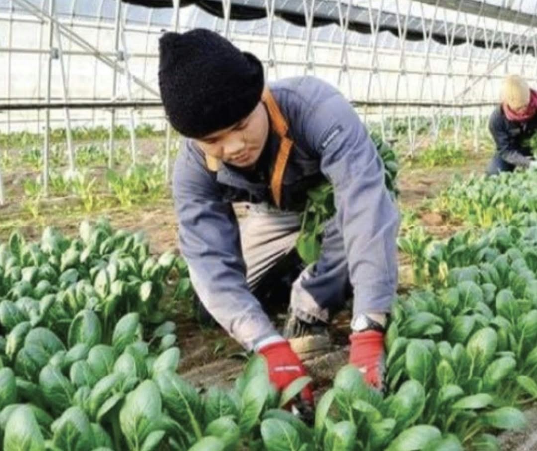 Agriculture Worker